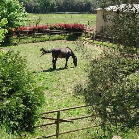 Can Baio Séjour à la ferme